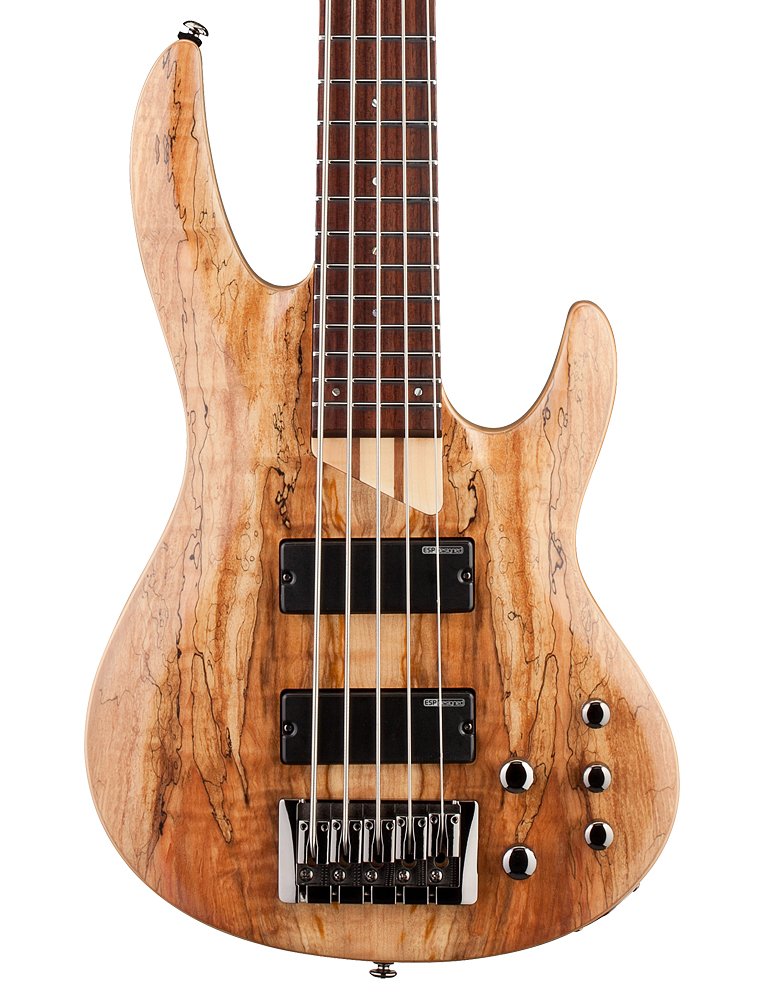 ESP Bass Guitar ESP LB205SMNS LTD - B205SM Series 5-String Natural Satin Finish LB205SMNS LTD Buy on Feesheh