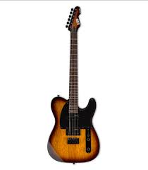 ESP Guitars ESP LTD TE200 Series with Roasted Jatoba Fretboard,Tobacco Sunburst Finish LTE200RTSB Buy on Feesheh