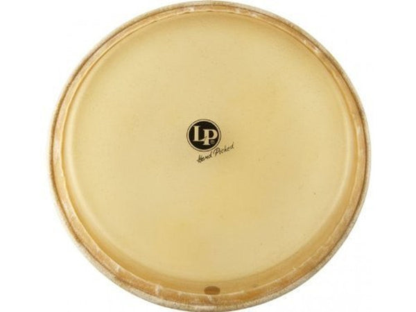 LP Drum & Percussion Accessories LP 11.75" Fiberskyn Conga Head LP265BP Buy on Feesheh