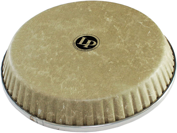LP Drum & Percussion Accessories LP 12.50" Fiberskyn Conga Head LP265CP Buy on Feesheh