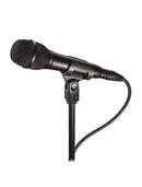 Audio Technica AT2010 Handheld Condenser Microphone