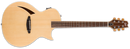 ESP Acoustic Guitar ESP LTD TL-6 Thinline Acoustic Guitar, Natural Finish LTL6NAT Buy on Feesheh