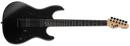 ESP Electric Guitar ESP LTD SN-1000HT, Charcoal Metallic Finish LSN1000HTCHM Buy on Feesheh