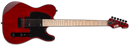 ESP Electric Guitar ESP LTD TE-200M with Maple Fretboard, See-Thru Black Cherry Finish LTE200MSTBC Buy on Feesheh