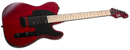 ESP Electric Guitar ESP LTD TE-200M with Maple Fretboard, See-Thru Black Cherry Finish LTE200MSTBC Buy on Feesheh