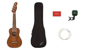 Fender Fender Seaside Soprano 4-String Ukulele Pack, 16 Frets, Nato Neck, Walnut Fingerboard, Satin, Natural 0971610022 Buy on Feesheh