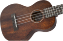 Gretsch Gretsch G9110-L Concert Long-Neck Acoustic Electric Ukulele - Vintage Mahogany Stain 2732031321 Buy on Feesheh