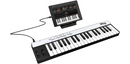 IK Multimedia Guitar Accessories IK Multimedia iRig Keys Lightning with SampleTank SE IK Multimedia - iRig KEYS with Lightning Buy on Feesheh