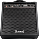 Laney DH-80