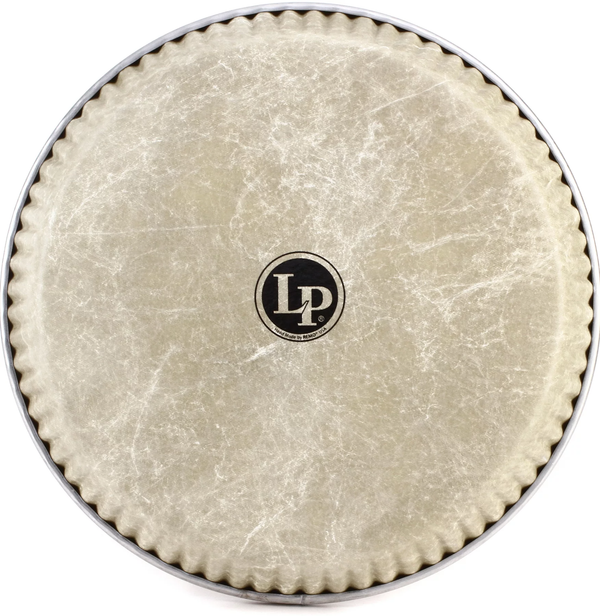 LP Drum & Percussion Accessories LP 11.06" Fiberskyn Conga Head LP265AP Buy on Feesheh