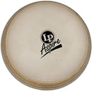 LP Latin Percussion Conga Head LPA640B LPA640B Buy on Feesheh