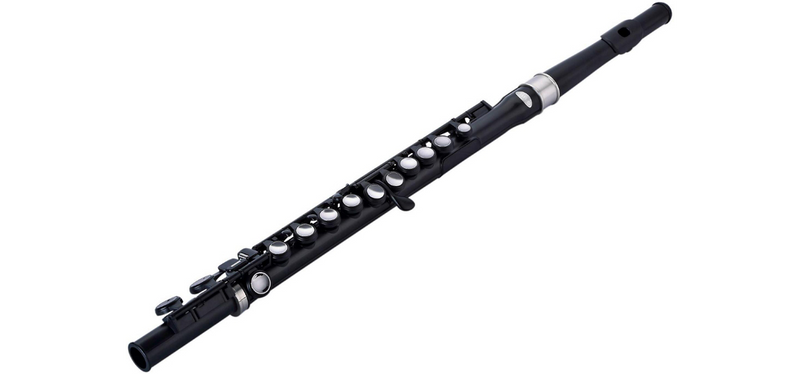 Nuvo Woodwind Instruments Nuvo Student Flute Kit - Black/Steel N210SFBK Buy on Feesheh