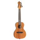 Ortega Classical Guitars Ortega Horizon Series - Ukulele, Concert Sized - RUHZ-MM RUHZ-MM Buy on Feesheh
