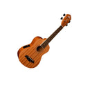 Ukulele with Equalizer Oscar Schmidt OU2E Concert