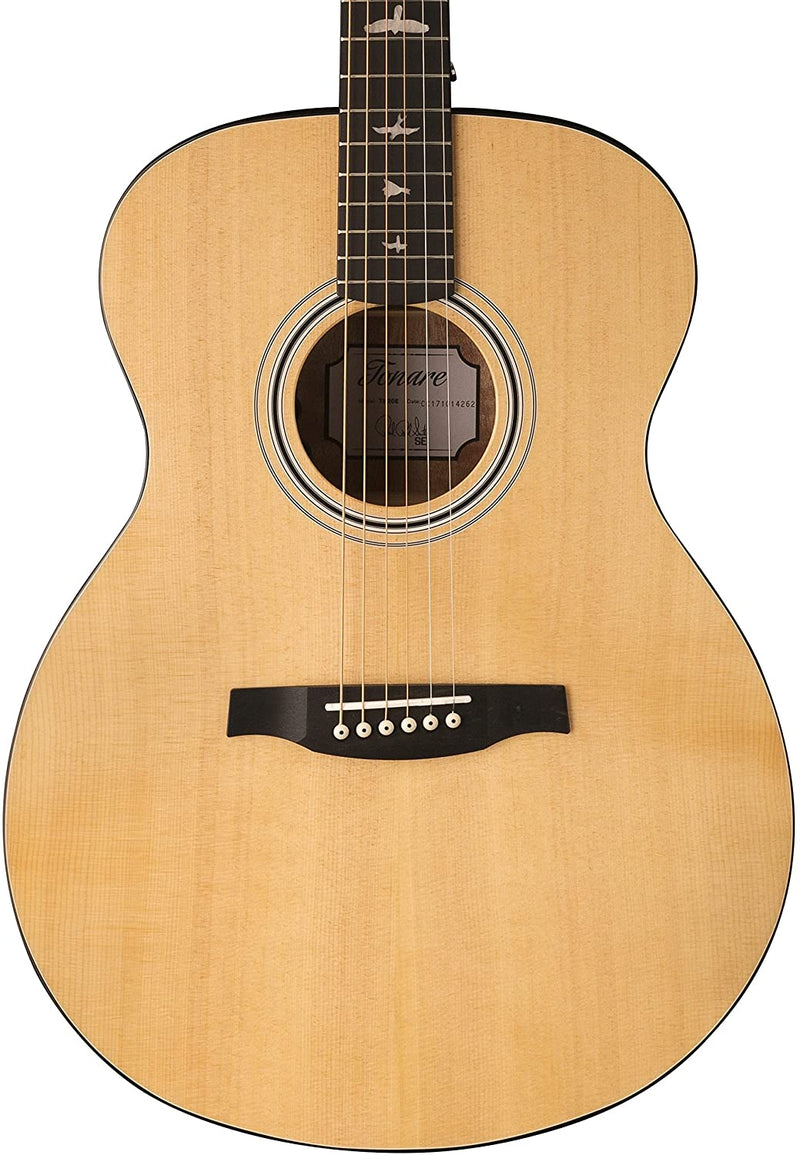 PRS Acoustic Guitar PRS SE TX20E Tonare Acoustic-Electric Guitar, PRS Hard Case included TXE20ENA Buy on Feesheh