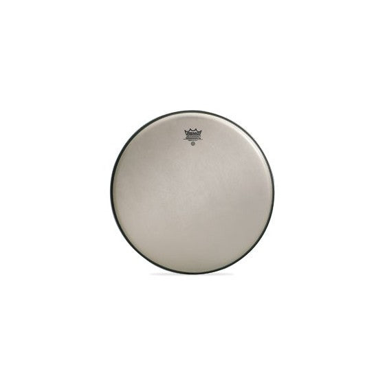 Remo Remo Snare, AMBASSADOR®, RENAISSANCE®, 10" Diameter SA-0010-SS- Buy on Feesheh