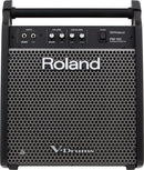 Roland Drum & Percussion Accessories Roland PM-100 Personal Monitor For Ronald's V-Drums PM-100 Buy on Feesheh