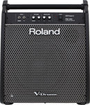 Roland Drum & Percussion Accessories Roland PM-200 Personal Monitor For Roland's V-Drums PM-200 Buy on Feesheh