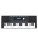 Roland Keyboards Roland E-X20 Arranger Keyboard - Black E-X20 Buy on Feesheh