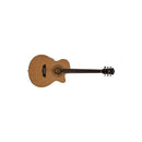 Washburn Acoustic Guitar EAT12