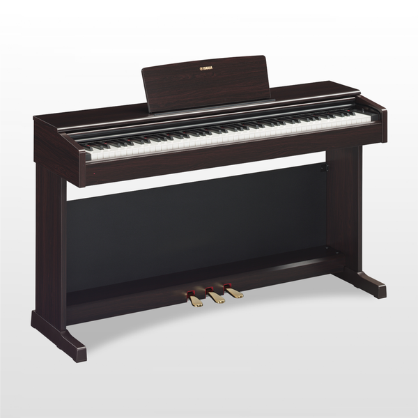 Yamaha Digital Piano Yamaha YDP144R Digital Piano With PA150 Adaptor - Rosewood YDP144R +PA150 Buy on Feesheh